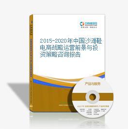 2016-2021年中國沙灘鞋電商運營模式研究報告